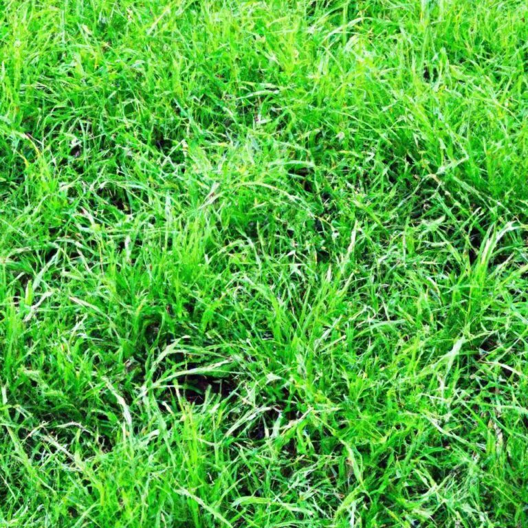 Clique Para Identificar Plantas de Folhagem