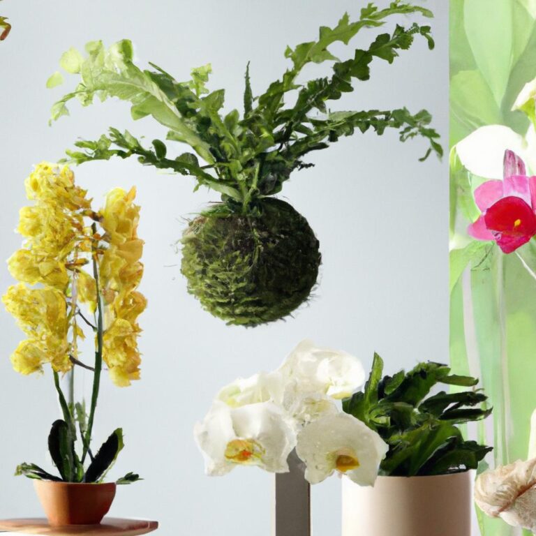 Veja Plantas Perfeitas Para Varandas