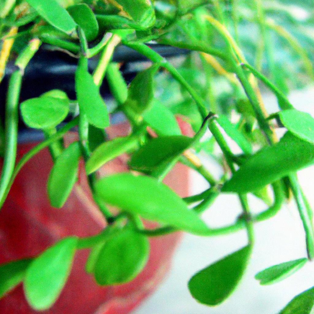 Espécies de Plantas que se Adaptam Bem a Varandas Expostas ao Vento